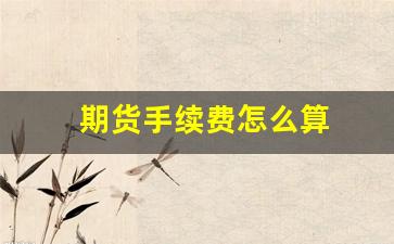 期货手续费怎么算(期货交易手续费怎么计算)_https://www.xzdzchf.com_北交所_第1张