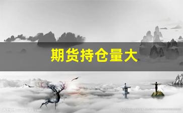 期货持仓量大(期货持仓量大幅增加说明什么)_https://www.xzdzcjx.com_科创板_第1张