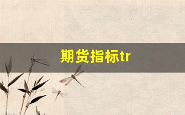 期货指标tr(期货指标讨论)_https://www.fzdzcxj.com_深交所_第1张