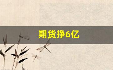 期货挣6亿(期货赚几十亿)_https://www.fzdzcxj.com_北交所_第1张