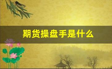 期货操盘手是什么(期货操盘手是什么工作)_https://www.wguangz.com_郑商所_第1张