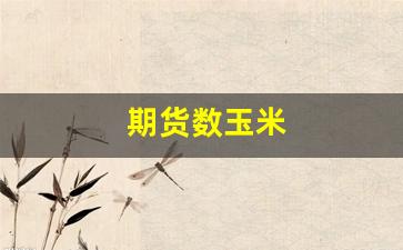 期货数玉米(期货玉米是什么意思)_https://www.wguangz.com_上期所_第1张