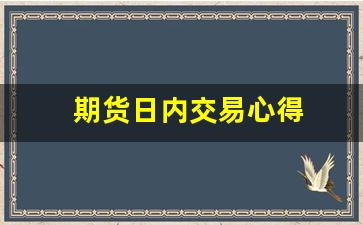 期货日内交易心得(期货日内交易实战技巧十讲)_https://www.qldgs.com_原油期货_第1张