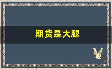 期货是大腿(期货都是大宗商品吗)_https://www.hn-life.com_北交所_第1张