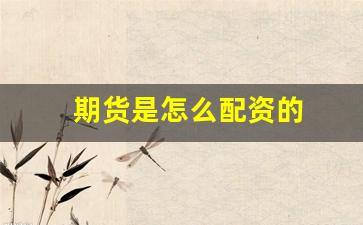 期货是怎么配资的(期货如何配资)_https://www.xzdzcjn.com_上交所_第1张