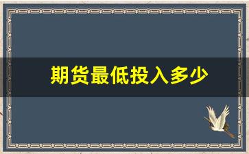 期货最低投入多少(期货最少要投多少钱)_https://www.nalian8.com_北交所_第1张