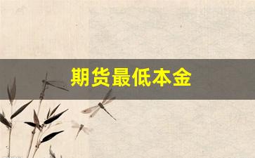 期货最低本金(期货交易最低金额)_https://www.xzdzcjn.com_深交所_第1张