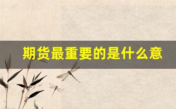 期货最重要的是什么意思(期货的重要性)_https://www.gfdzclz.com_上交所_第1张