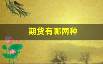 期货有哪两种(期货两种类型)_https://www.gfdzclz.com_创业板_第1张