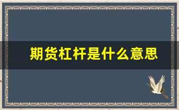 期货杠杆是什么意思(期货杠杆是什么意思举例说明)_https://www.xzdzchf.com_创业板_第1张