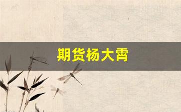 期货杨大霄(杨大霄期货视频)_https://www.hangfeite.com_科创板_第1张