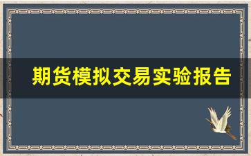 期货模拟交易实验报告(期货模拟交易)_https://www.taocizhiliang.com_装修流程_第1张