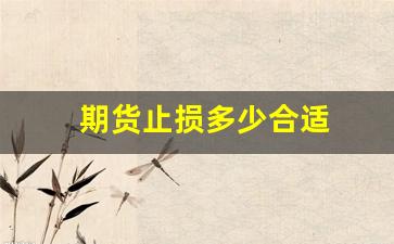 期货止损多少合适(期货止损是什么意思)_https://www.jnskb.com_装修流程_第1张