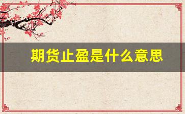 期货止盈是什么意思(在期货交易中如何做止盈和止损单)_https://www.xzdzcjn.com_北交所_第1张