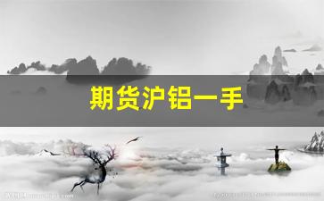 期货沪铝一手(期货沪铝价格)_https://www.nalian8.com_深交所_第1张