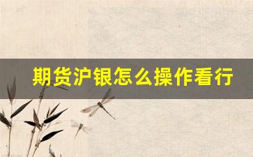 期货沪银怎么操作看行情(沪银期货交易规则)_https://www.wanyuyiyao.com_创业板_第1张