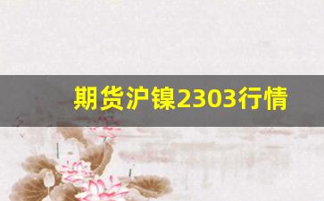 期货沪镍2303行情(期货沪镍今日怎么跌停了)_https://www.jyywjc.com_股票价格_第1张