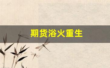 期货浴火重生(重生期货小说)_https://www.xzdzcjx.com_北交所_第1张