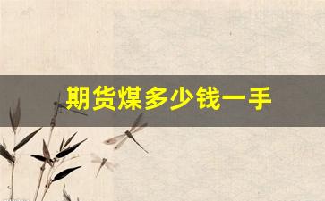 期货煤多少钱一手(期货煤价格走势图)_https://www.hangfeite.com_深交所_第1张