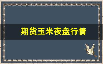 期货玉米夜盘行情(玉米期货价格行情)_https://www.jianghaiboli.com_期货_第1张