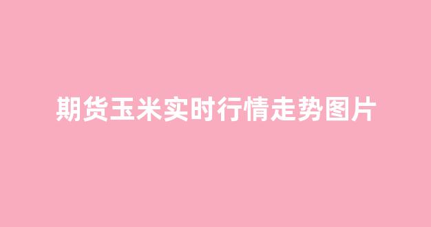 期货玉米实时行情走势图片(期货玉米价格行情)_https://www.haiwangdasha.com_上交所_第1张