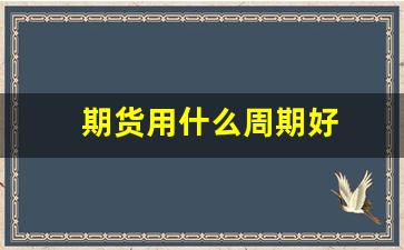 期货用什么周期好(期货有什么品种周期)_https://www.fzdzcxj.com_北交所_第1张