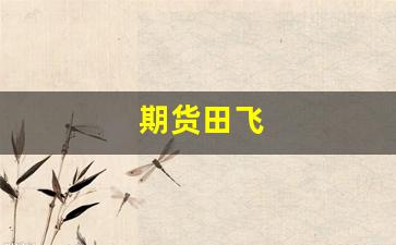 期货田飞(田冰期货)_https://www.fzdzcxj.com_深交所_第1张