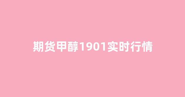 期货甲醇1901实时行情(甲醇期货今日报价)_https://www.gfdzclz.com_科创板_第1张