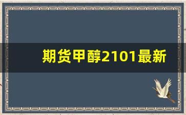 期货甲醇2101最新消息(期货甲醇2109最新消息)_https://www.wguangz.com_大商所_第1张