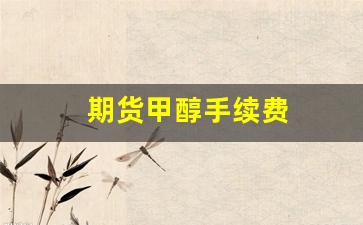 期货甲醇手续费(期货甲醇手续费多少)_https://www.wanyuyiyao.com_深交所_第1张