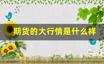 期货的大行情是什么样的(期货大行情特点)_https://www.haiwangdasha.com_大商所_第1张