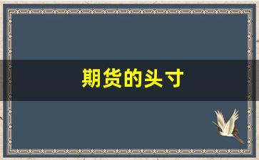 期货的头寸(期货品种)_https://www.wanyuyiyao.com_科创板_第1张