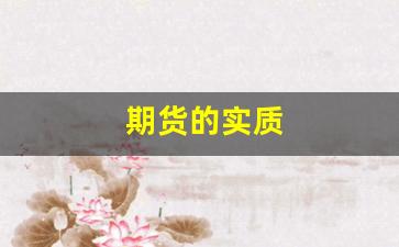 期货的实质(期货的本质是什么)_https://www.fzdzcxj.com_深交所_第16张