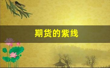 期货的紫线(期货看多少分钟线最佳)_https://www.hangfeite.com_创业板_第1张