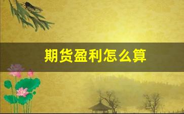 期货盈利怎么算