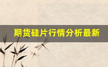 期货硅片行情分析最新消息(期货硅片行情分析最新消息)_https://www.haiwangdasha.com_上期能源_第1张