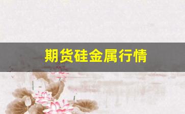 期货硅金属行情(金属硅期货价格走势)_https://www.erdeww.com_期货_第1张