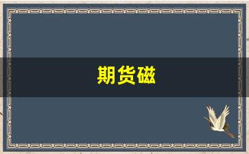期货磁(强磁的期货名称)_https://www.wanyuyiyao.com_科创板_第1张