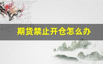 期货禁止开仓怎么办(期货 禁止开仓)_https://www.xzdzcjn.com_深交所_第1张
