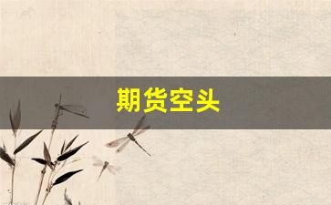 期货空头(期货空头头寸是什么意思)_https://www.gfdzclz.com_上交所_第1张