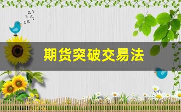 期货突破交易法(期货突破交易法的特点)_https://www.jumanxin.com_深交所_第1张