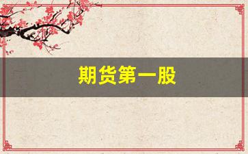 期货第一股(中国期货第一股)_https://www.xzdzcjn.com_深交所_第1张