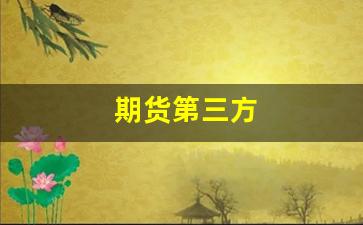 期货第三方(期货第三方平台正规吗)_https://www.xzdzcjn.com_上交所_第1张
