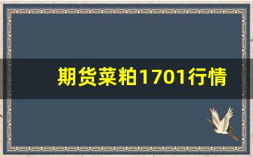 期货菜粕1701行情分析(菜粕2405期货最新行情分析)_https://www.taocizhiliang.com_设计报价_第1张
