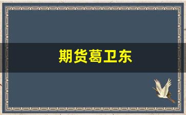 期货葛卫东(期货葛卫东简介)_https://www.fzdzcxj.com_上交所_第1张