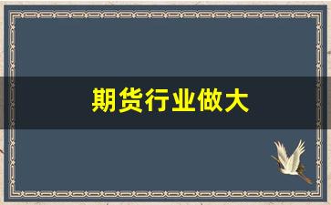 期货行业做大(期货行业从业资格证)_https://www.taocizhiliang.com_设计报价_第1张