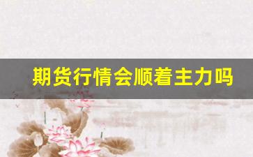 期货行情会顺着主力吗(期货行情会顺着主力吗还是逆着)_https://www.ljyuan-tech.com_上交所_第1张