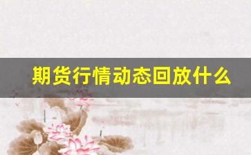 期货行情动态回放什么意思(期货行情回放软件)_https://www.tuogunzhijia.com_道指期货_第1张