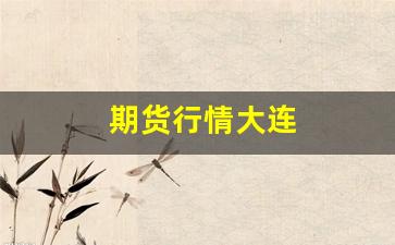 期货行情大连(铜期货行情最新消息)_https://www.senxinmaoyi.com_快递查询_第1张