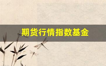 期货行情指数基金(期货行情指数基金怎么买)_https://www.tuogunzhijia.com_内盘期货_第1张